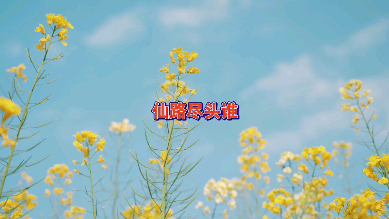 遮天经典语录哔哩哔哩bilibili