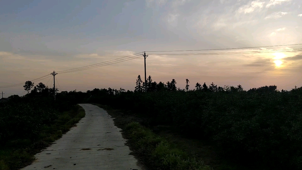 [图]看乡村的小路上的风景