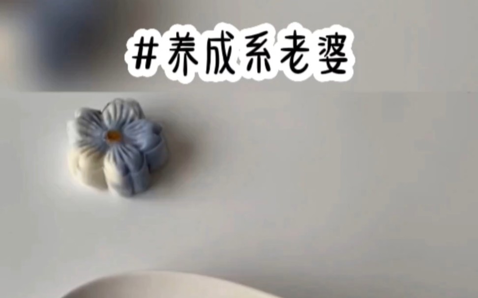 铭《养成系老婆》小说推荐