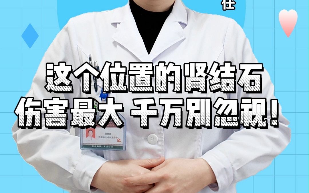 这个位置的肾结石伤害最大 千万别忽视!哔哩哔哩bilibili