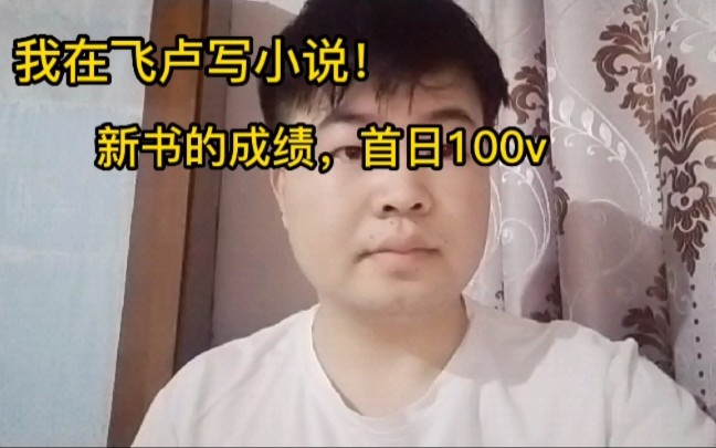 我在飞卢写小说!新书首日成绩,还不到100v收藏!哔哩哔哩bilibili