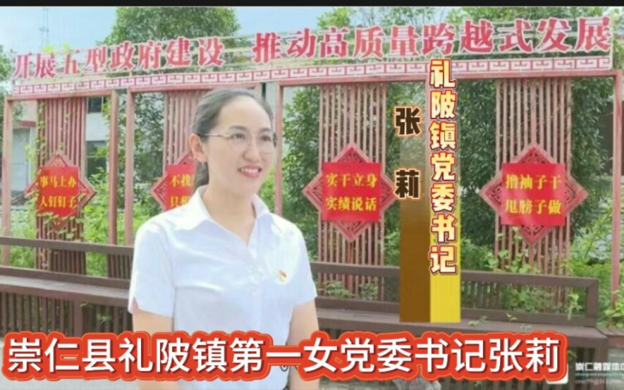 【"九查九改"干部作风整顿活动访谈】2023年江西省抚州市崇仁县礼陂镇