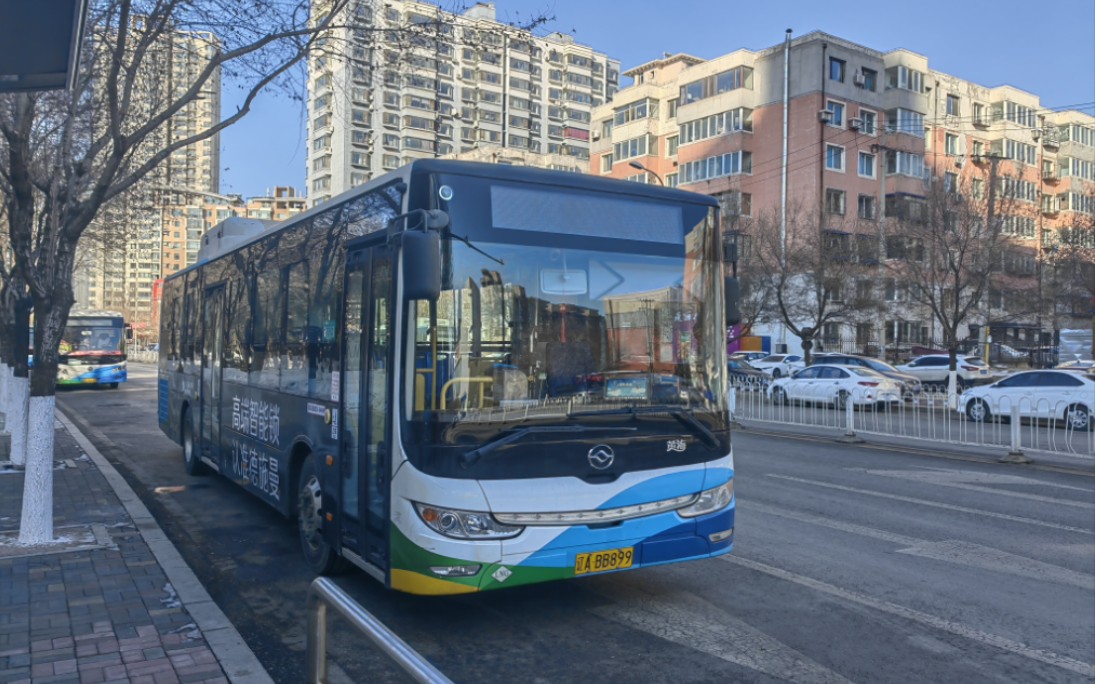 only举办成功)沈阳公交109路(彩霞街临波路——药王庙路大西电子市场)