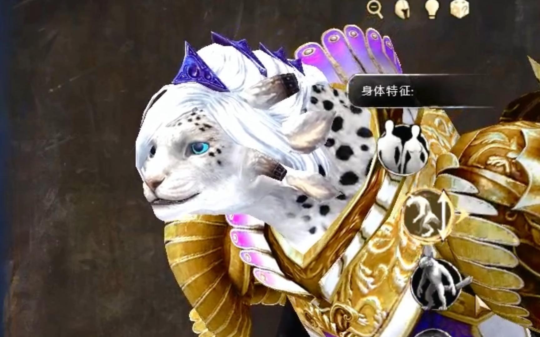 激战2夏尔(女)捏脸分享,雪豹姑娘.让大猫跟可爱沾边多少有点.91