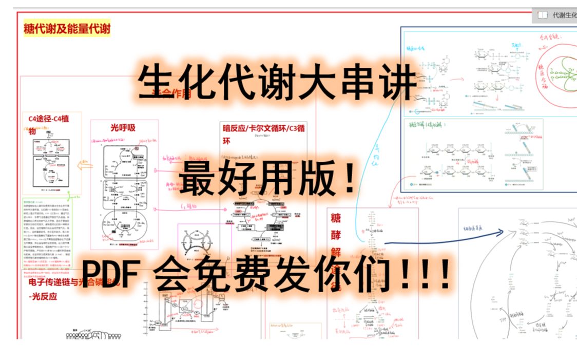 [图]生化代谢途径大串讲-代谢网络图pdf免费发大伙，最好用版！-思维导图-代谢图