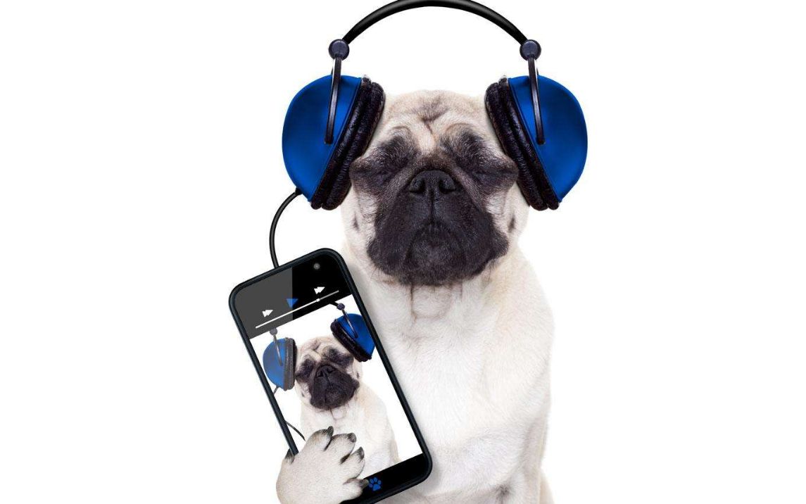 手机里面养一只宠物狗还会汪汪超可爱