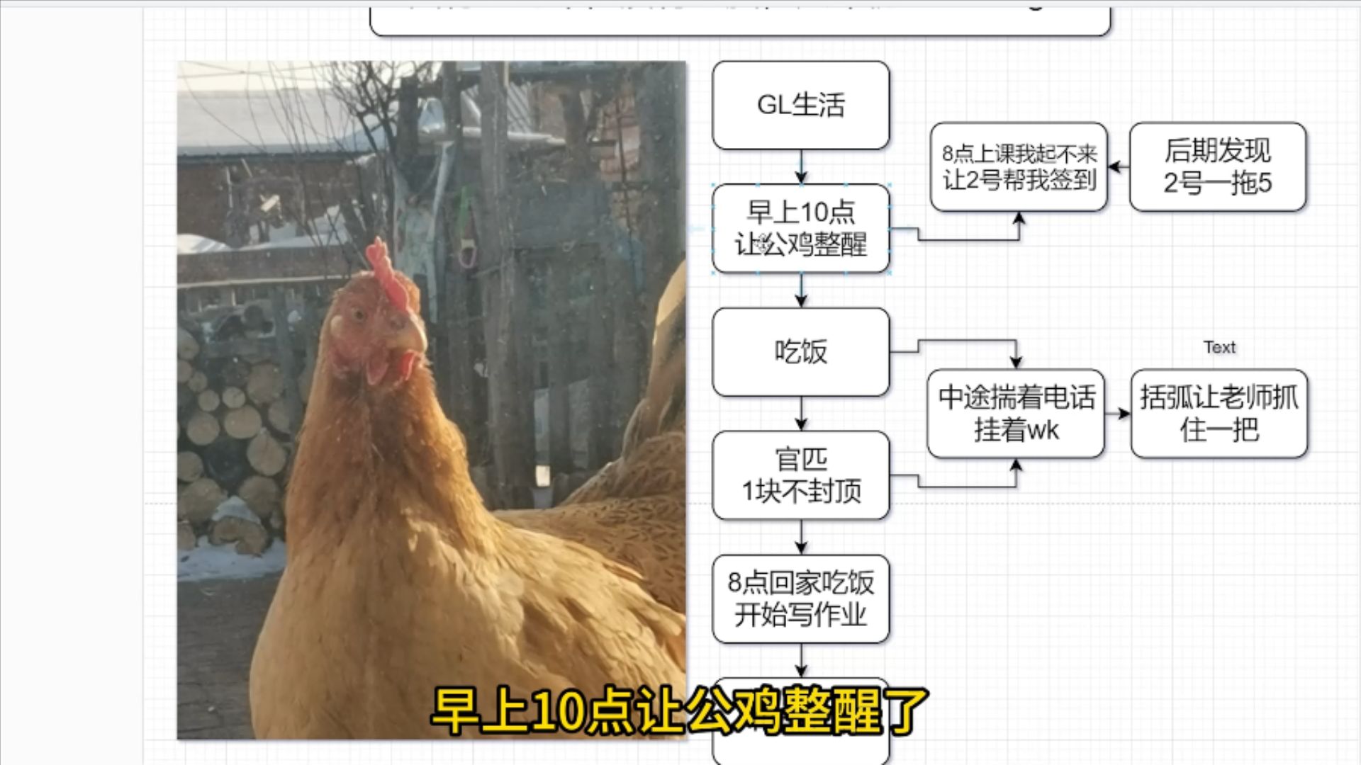 爱心早餐电子竞技热门视频