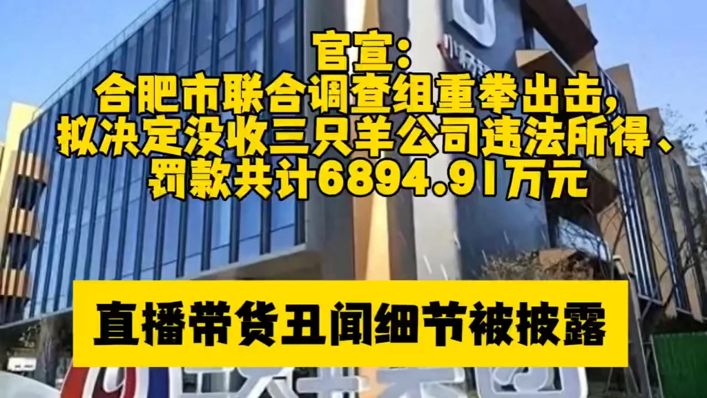 官宣:合肥市联合调查组重拳出击,拟决定没收三只羊公司违法所得、罚款共计6894.91万元更多直播带货丑闻被披露#娱乐八卦 #爆料 #新闻热点哔哩哔哩...