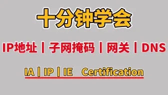 十分钟带你全方位了解：什么是IP地址、子网掩码、网关、DNS，小白也能轻松学会！