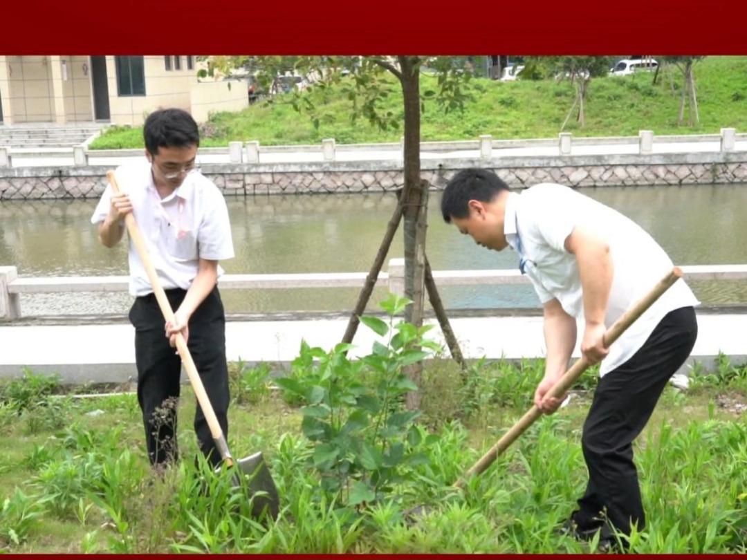 人民电器集团:党工团齐心协力,美化园区环境共筑绿色家园哔哩哔哩bilibili