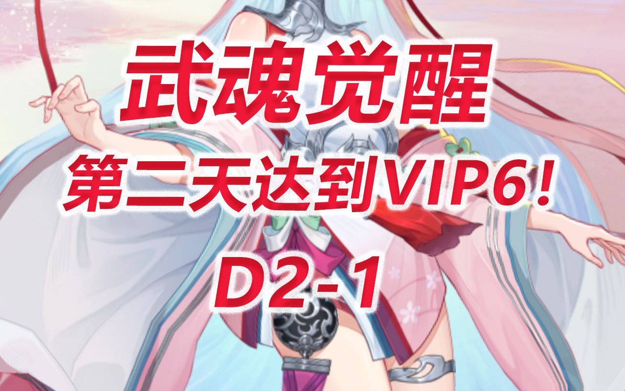 【武魂觉醒100区21】第二天达到VIP6!