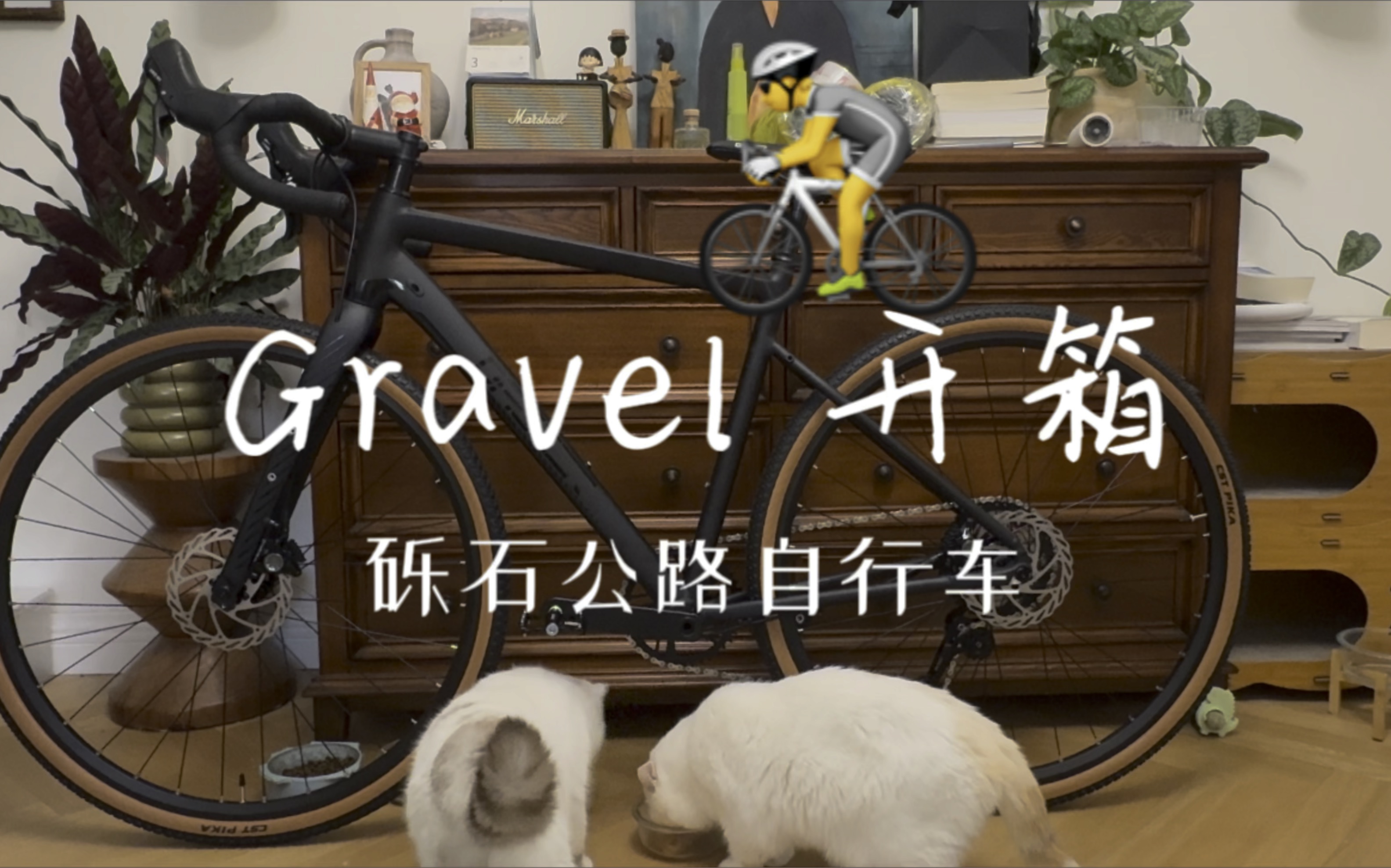 Gravel开箱 |砾石公路车 |B站汇率 1个赞3公里 1个币 1个收藏 1个转发 各 5公里 |Dagger 砾石公路车哔哩哔哩bilibili