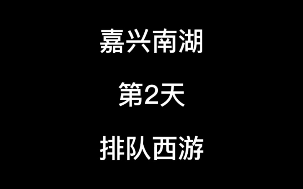 梦幻西游新区嘉兴南湖开区第二天网络游戏热门视频