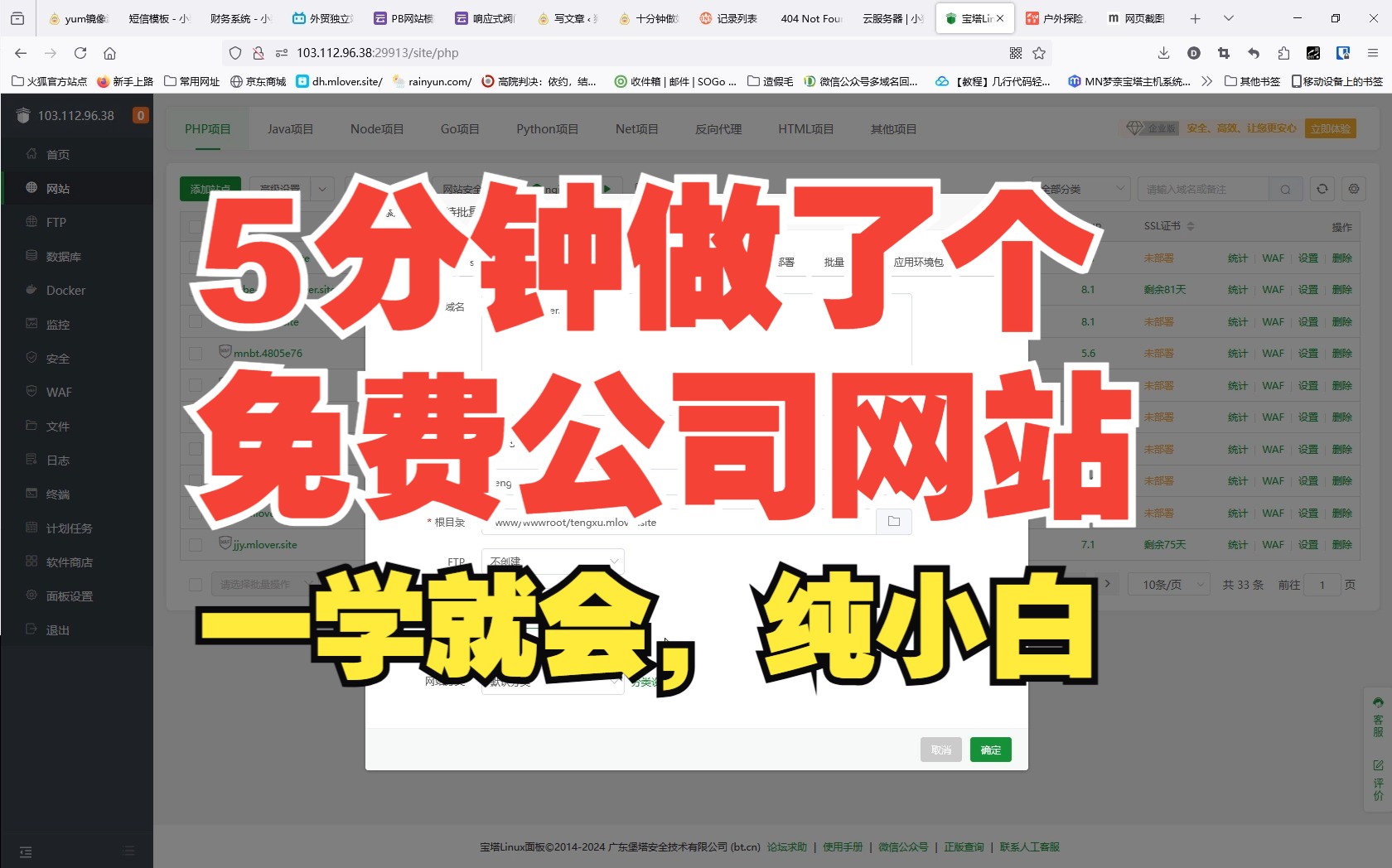 5分钟做了个公司网站,老板很开心,服务器域名都是自己的