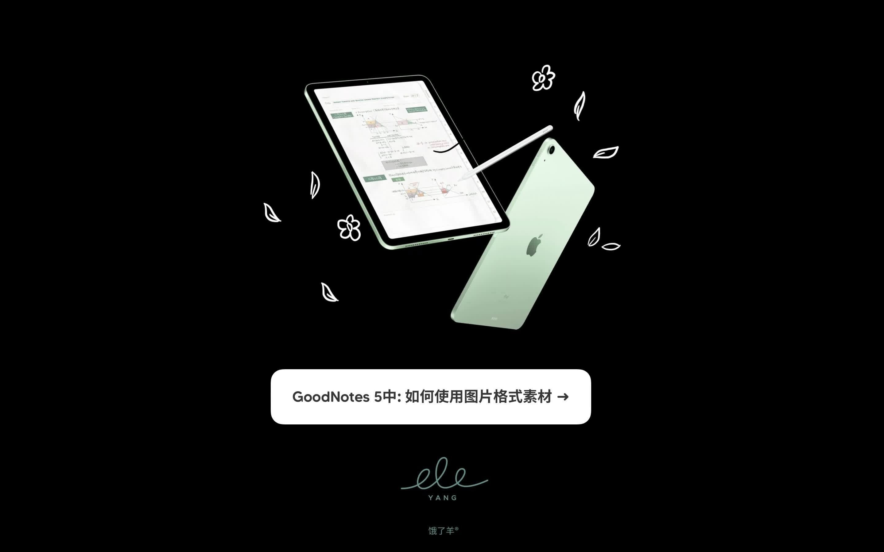 iPad笔记教学 | GoodNotes5图片素材使用哔哩哔哩bilibili