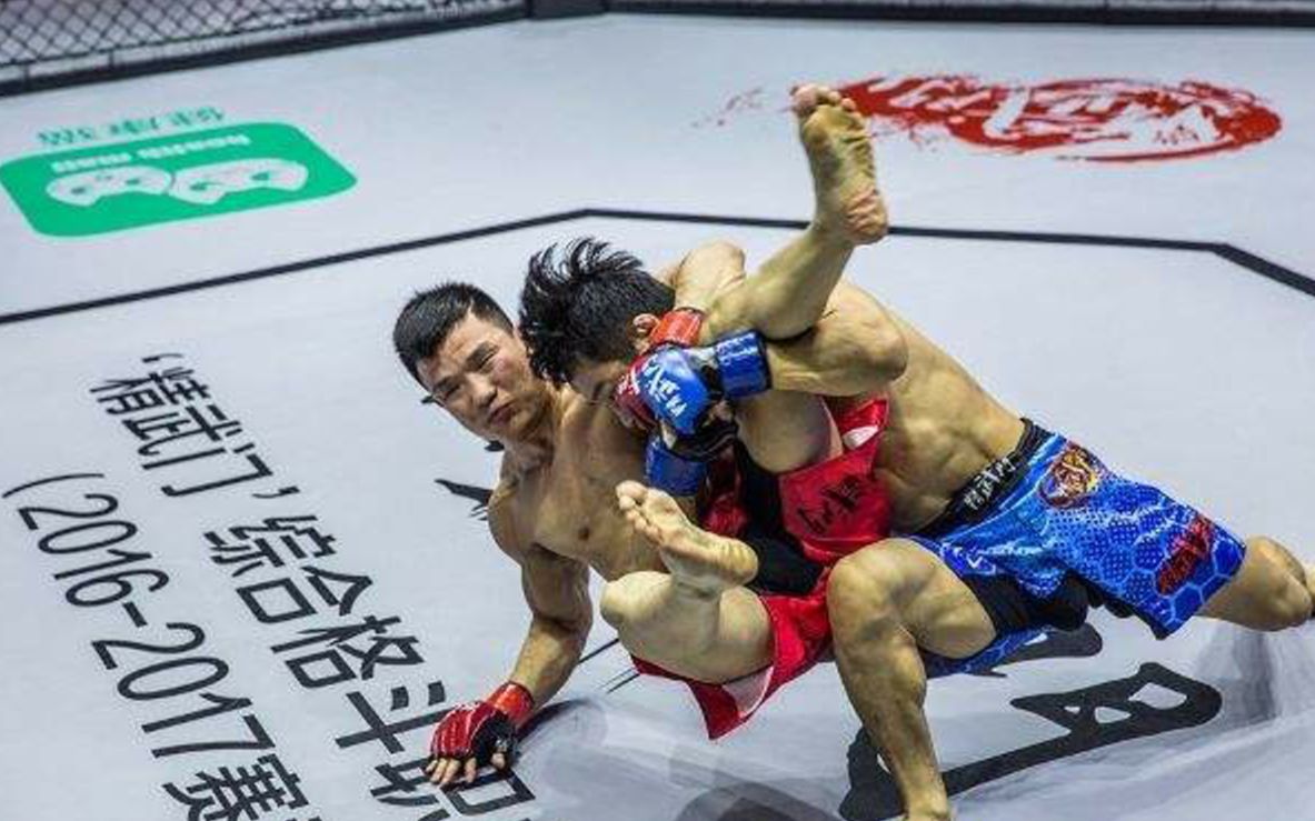 他就是力克诸多猛将的中国高手苗利涛!