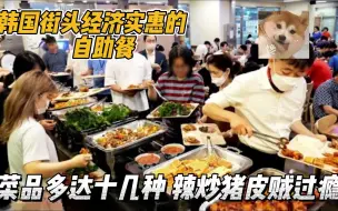 Descargar video: 韩国8000韩元的自助餐，菜品丰富还有辣炒猪皮，酒水免费可吃回本