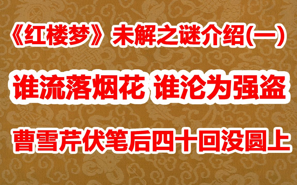 《红楼梦》未解之谜介绍之一:哪位贾府小姐流落烟花 谁去做了强盗哔哩哔哩bilibili