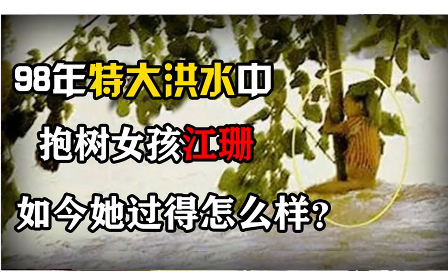 1998年特大洪水期间,那个抱树9小时的6岁女孩,女孩长大后怎样了