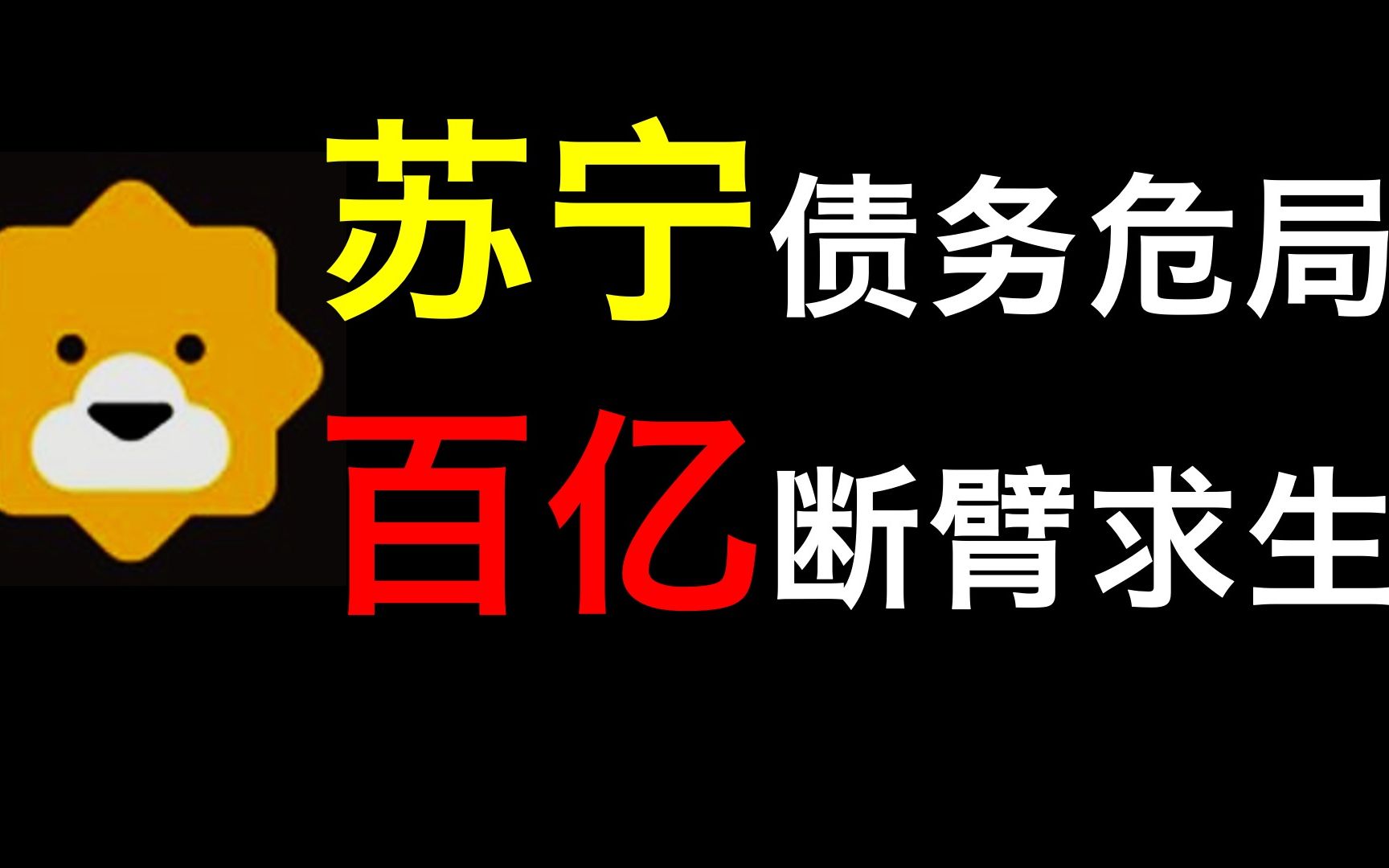 【厉害】苏宁资本局:成于阿里,败于恒大,终于深圳哔哩哔哩bilibili