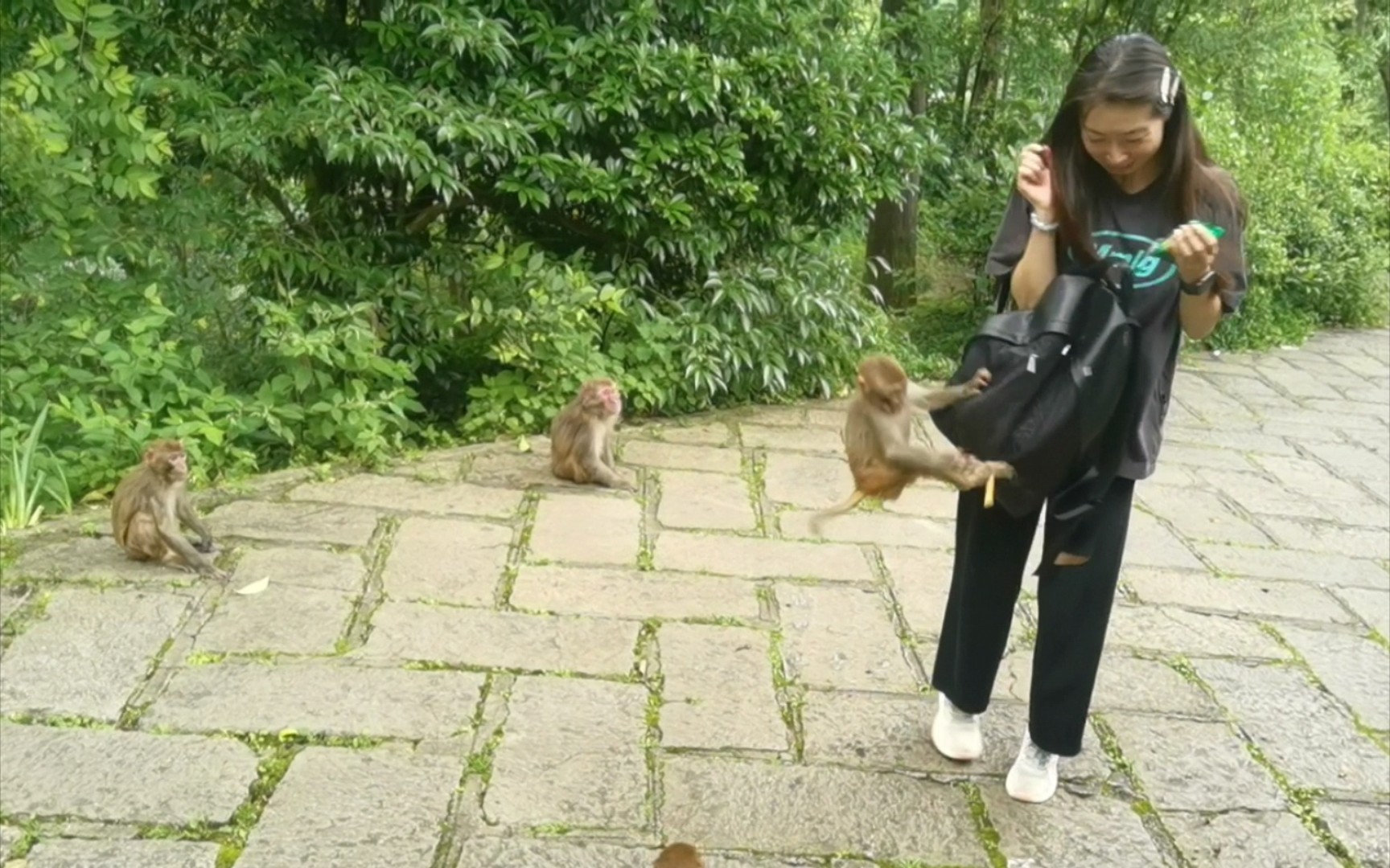 第1天|贵阳黔灵山.被猴群抢食,猴子很有灵性,弘福寺最高点可俯瞰贵阳全景哔哩哔哩bilibili