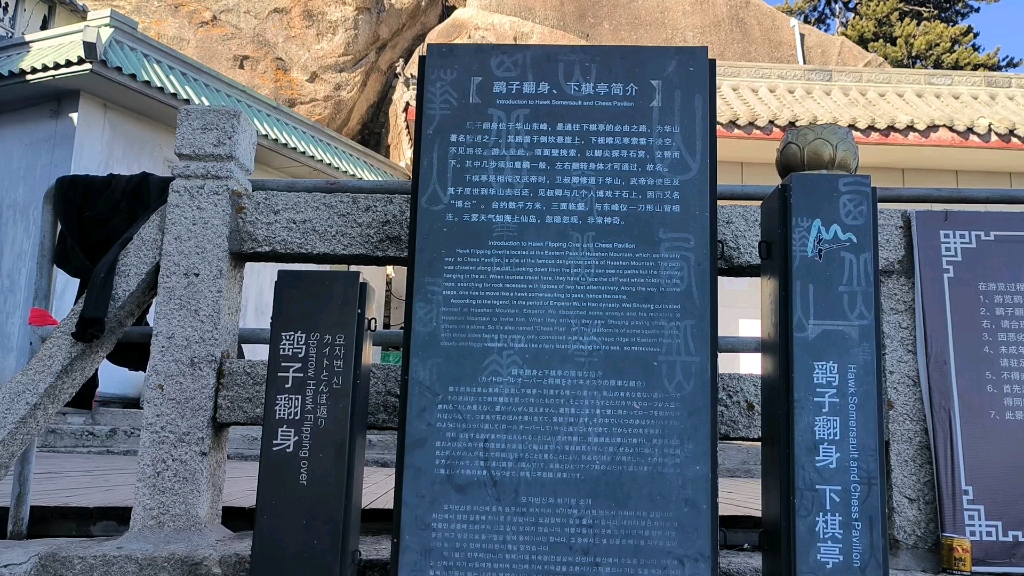 鹞子翻身险中险
