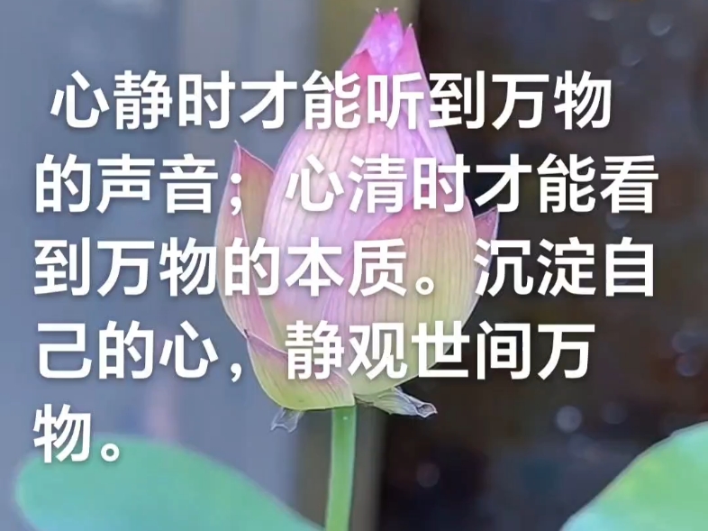 心静时才能听到万物的声音;心清时才能看到万物的本质.