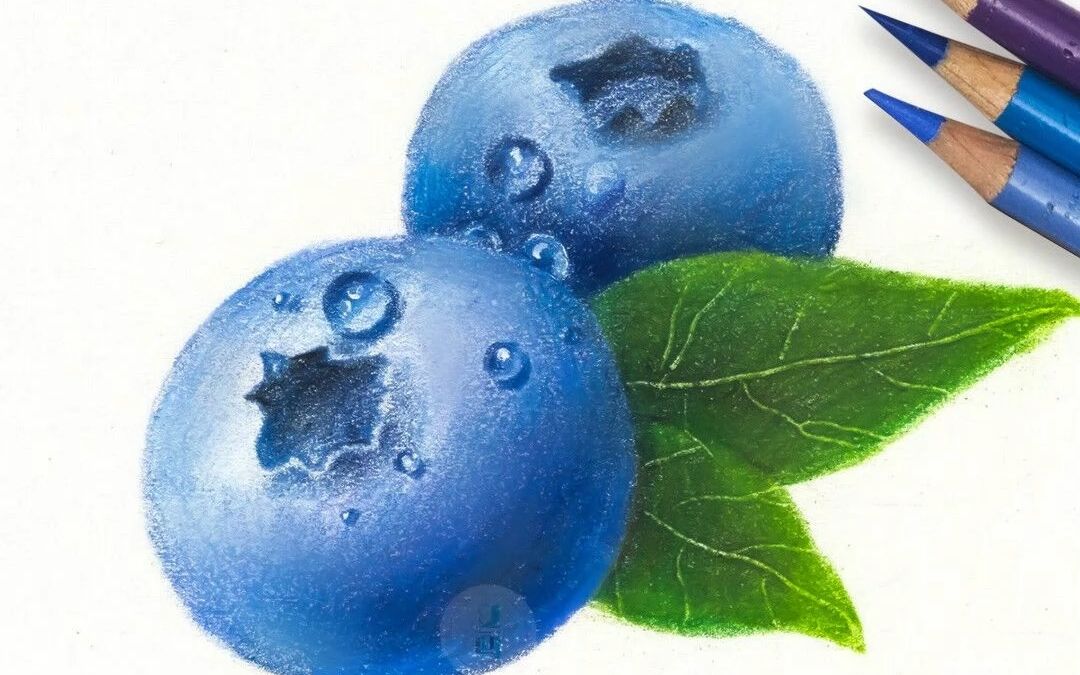 【彩铅手绘】画2两颗可可爱爱的小蓝莓