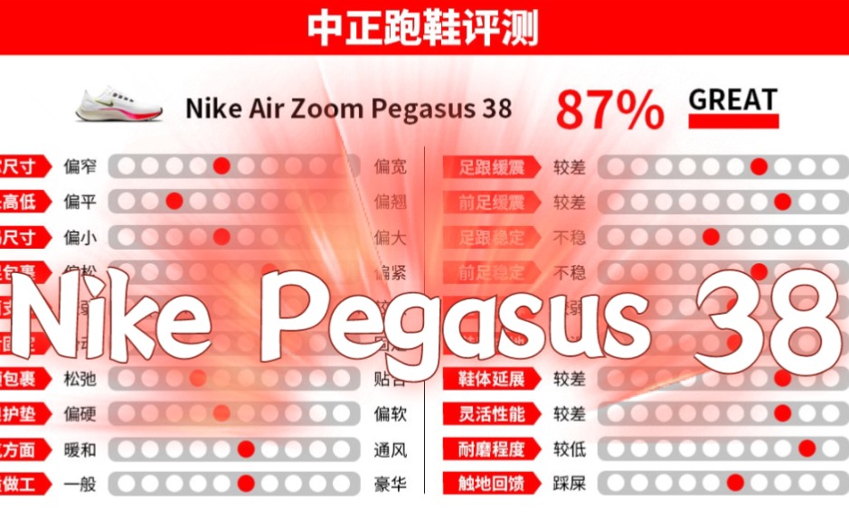 第15集|耐克Nike飞马Pegasus 38专业跑鞋|中正评测|路跑缓震系列哔哩哔哩bilibili