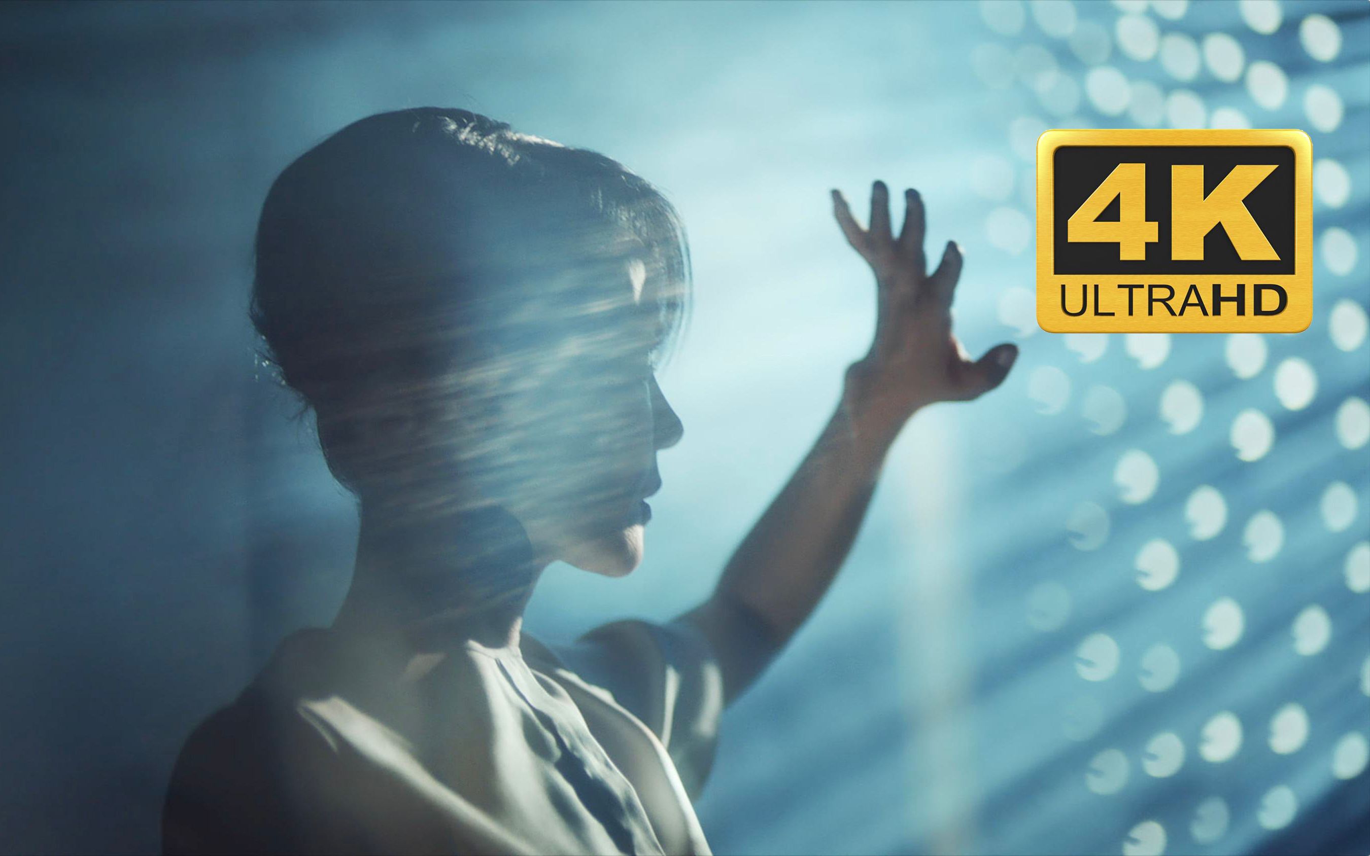 4k60fps王菲faye幻乐一场仙草影像制作的尘埃视觉动画