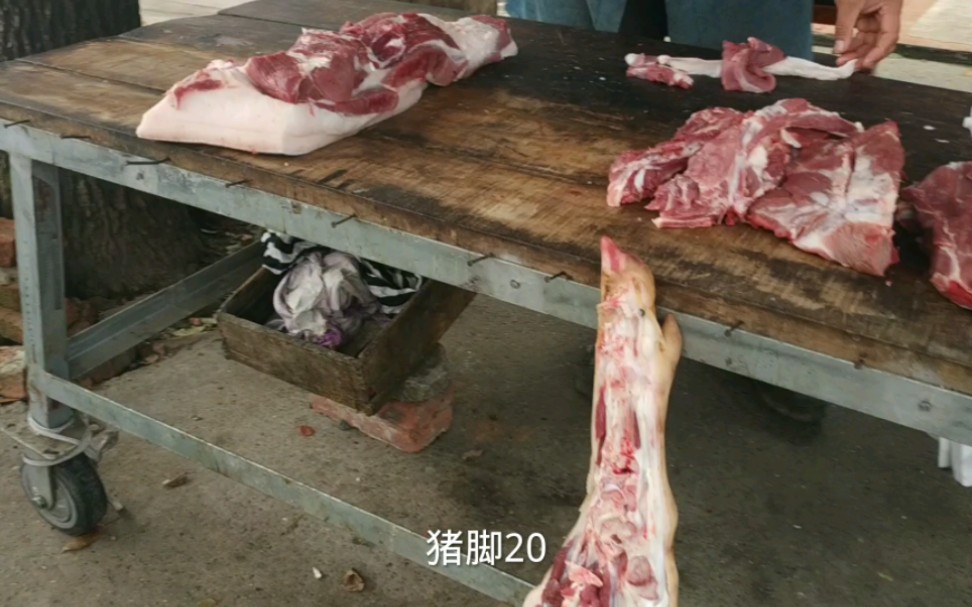 猪肉降价太吓人了!实拍11月23号湖南常德猪肉现状,这价格很意外哔哩哔哩bilibili