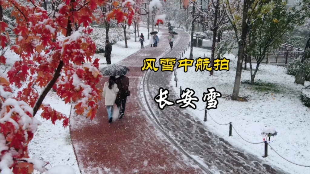 西安秋色还未褪尽,冬雪已登场,秋叶与白雪组成的长安图真的很美哔哩哔哩bilibili