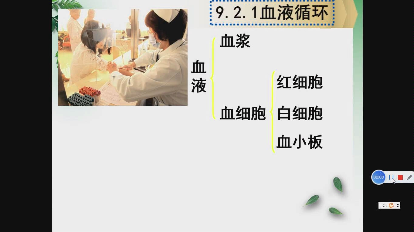 [图]生物 七下 9.2.1血液循环