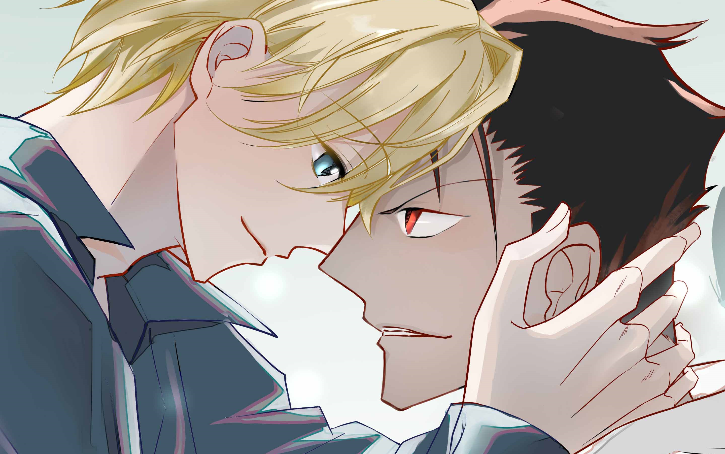 【翼年代记】黑钢和法伊