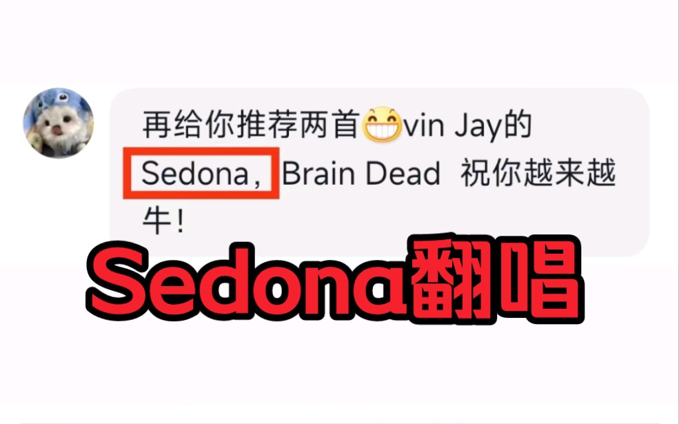 Sedona超稳翻唱 Vin Jay Part哔哩哔哩bilibili