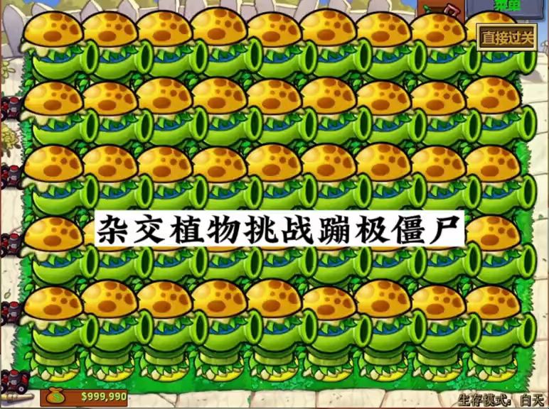 杂交植物全屏种植挑战蹦极僵尸