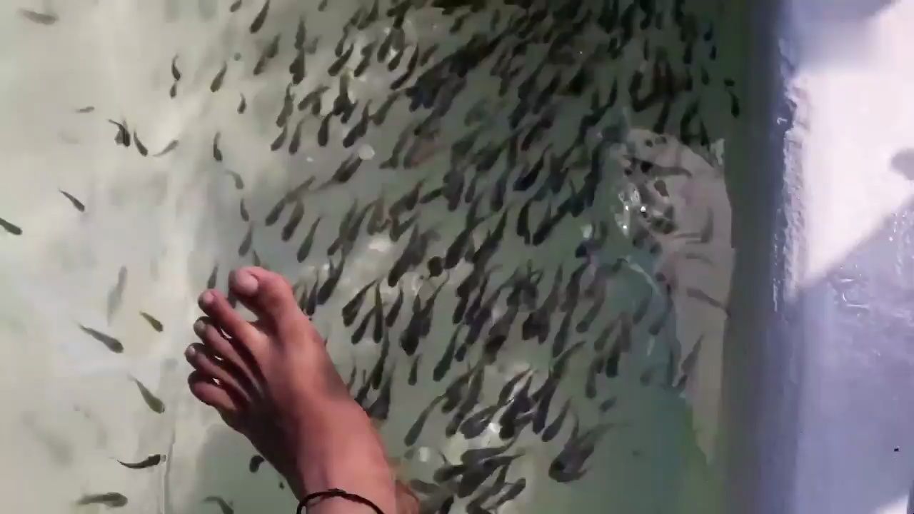 国外女子做"鱼疗",因为太舒服没忍住,结果被商家索赔6万元!