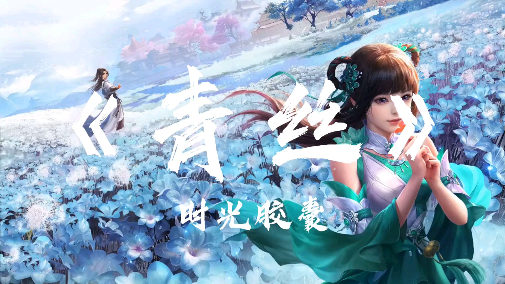 时光胶囊《青丝》"君不见 一缕青丝 一声叹"