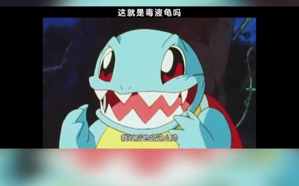 帅气的蒜头王八杰尼龟