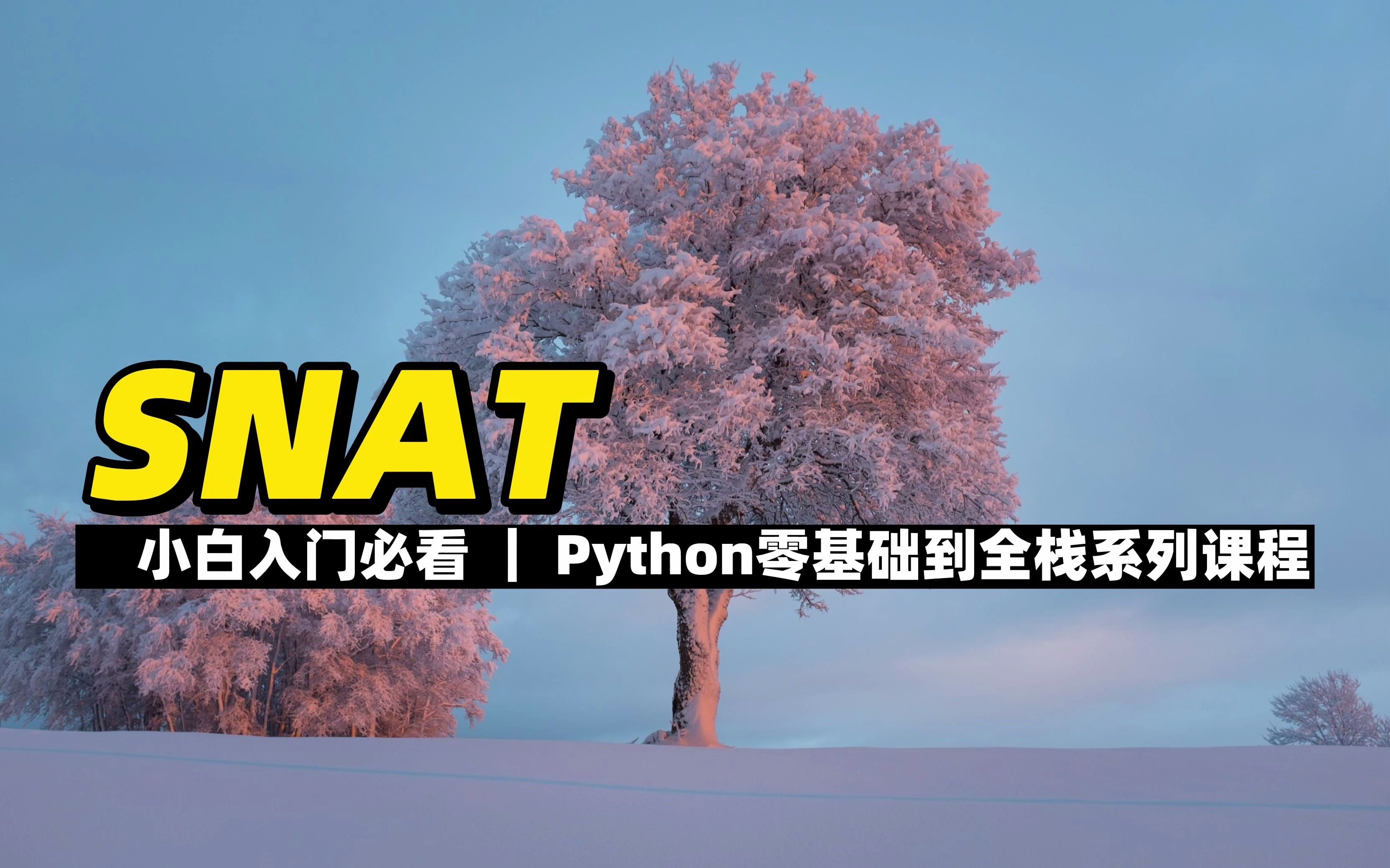 SNAT  《Python零基础到全栈系列》哔哩哔哩bilibili