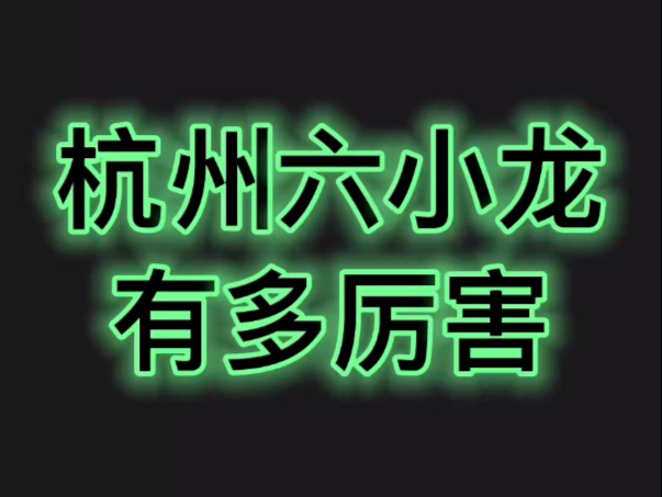 科技|“杭州六小龙”有多厉害!哔哩哔哩bilibili