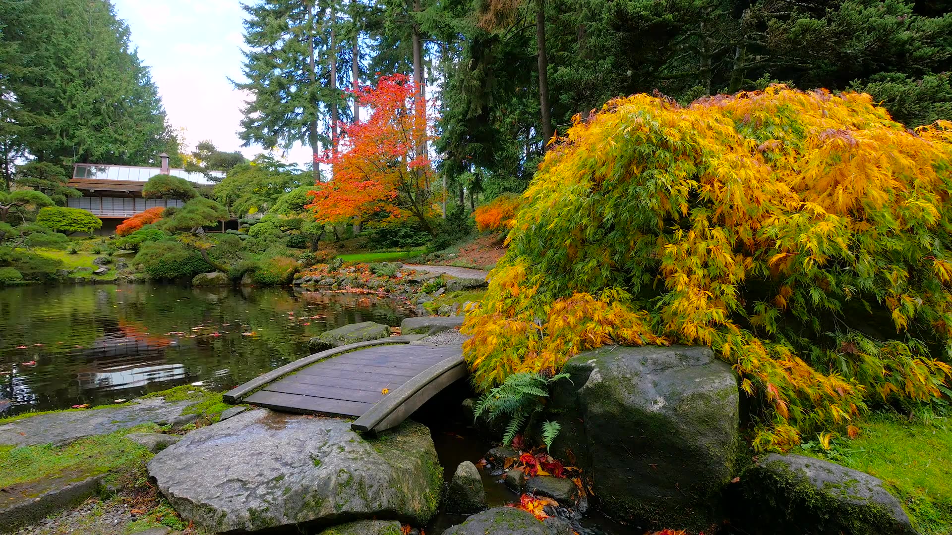 [图]【最美花园】秋天日本花园Japanese Garden -Autumn