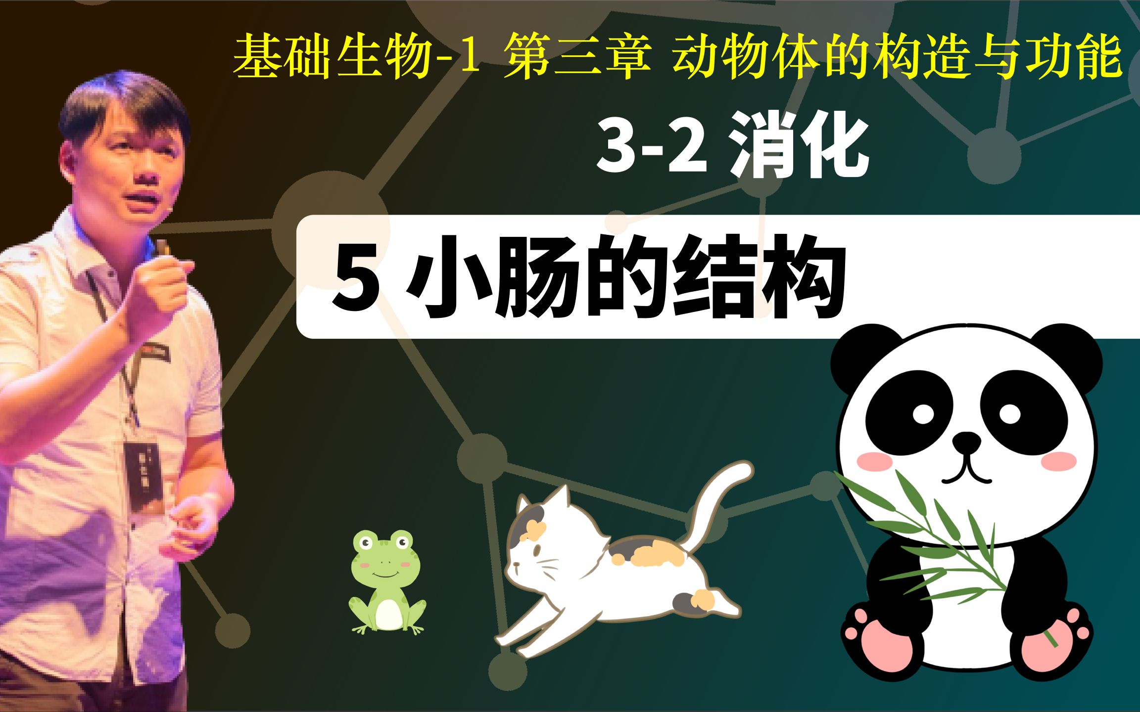 基础生物学32.5 小肠的结构哔哩哔哩bilibili