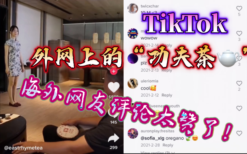 【TikTok】外网上各种科普的中国茶道“功夫茶”武术小短篇惊呆老外|国际版抖音海外网友热议哔哩哔哩bilibili