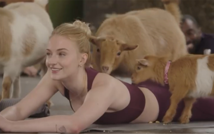 权力的游戏 Sophie Turner 苏菲ⷮŠ特纳 x Goat Yoga哔哩哔哩bilibili