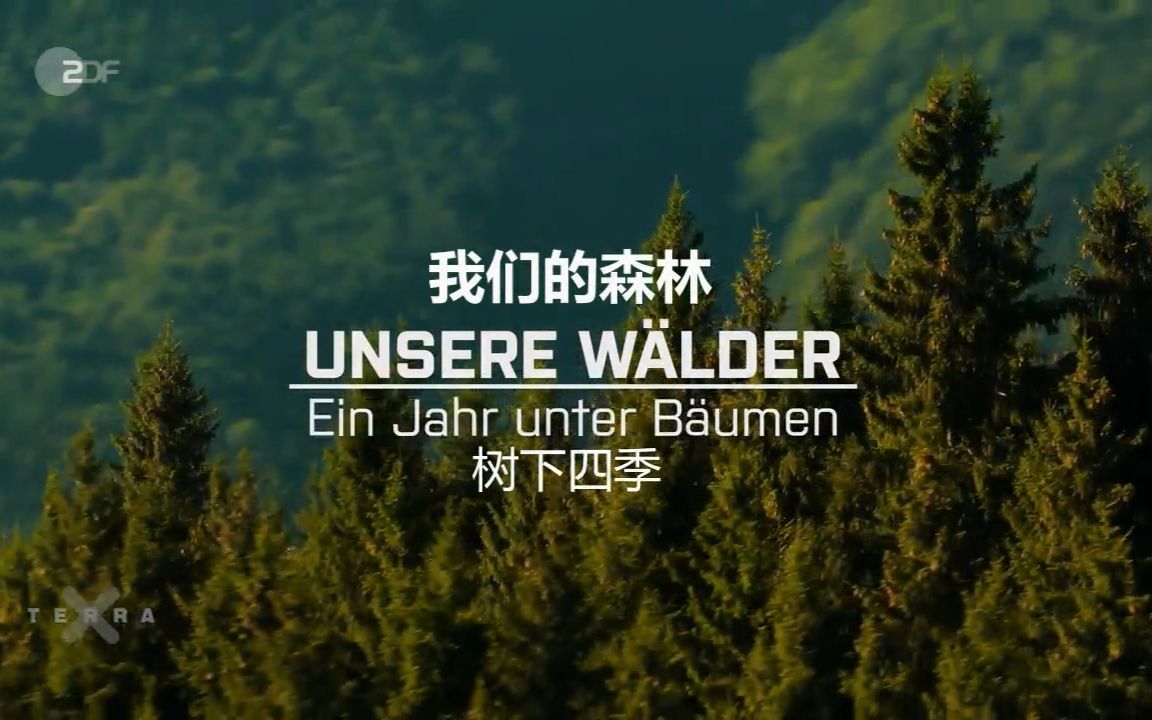 [图]Unsere Wälder.我们的森林.E02.树下四季.中德双语字幕.【FIX字幕侠】