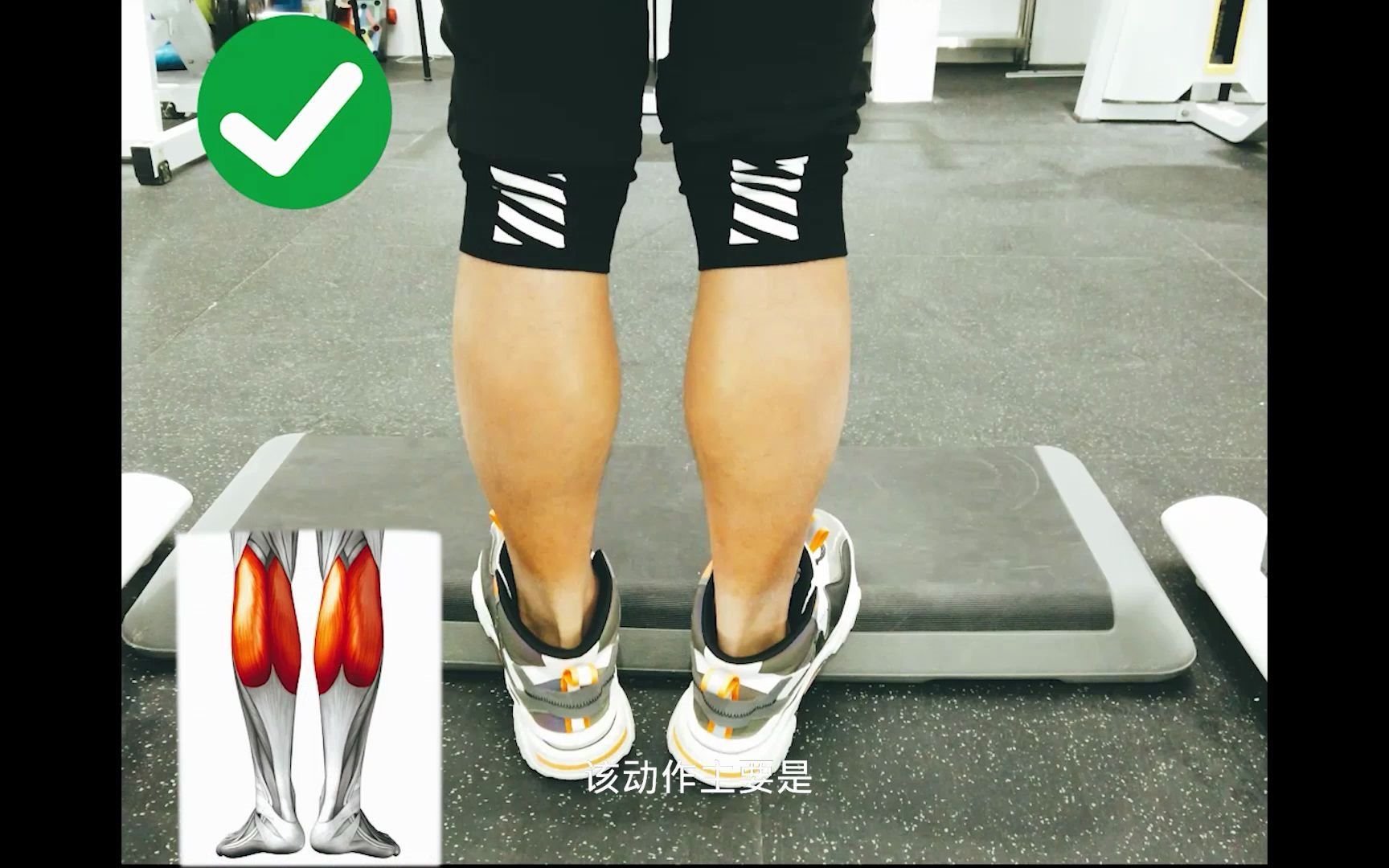 杠铃站姿提踵_哔哩哔哩_bilibili