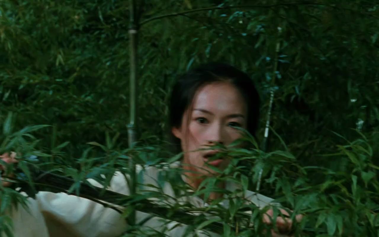 老电影中古典美[卧虎藏龙].Crouching.Tiger.Hidden.Dragon.2000.竹海比剑未肯降哔哩哔哩bilibili