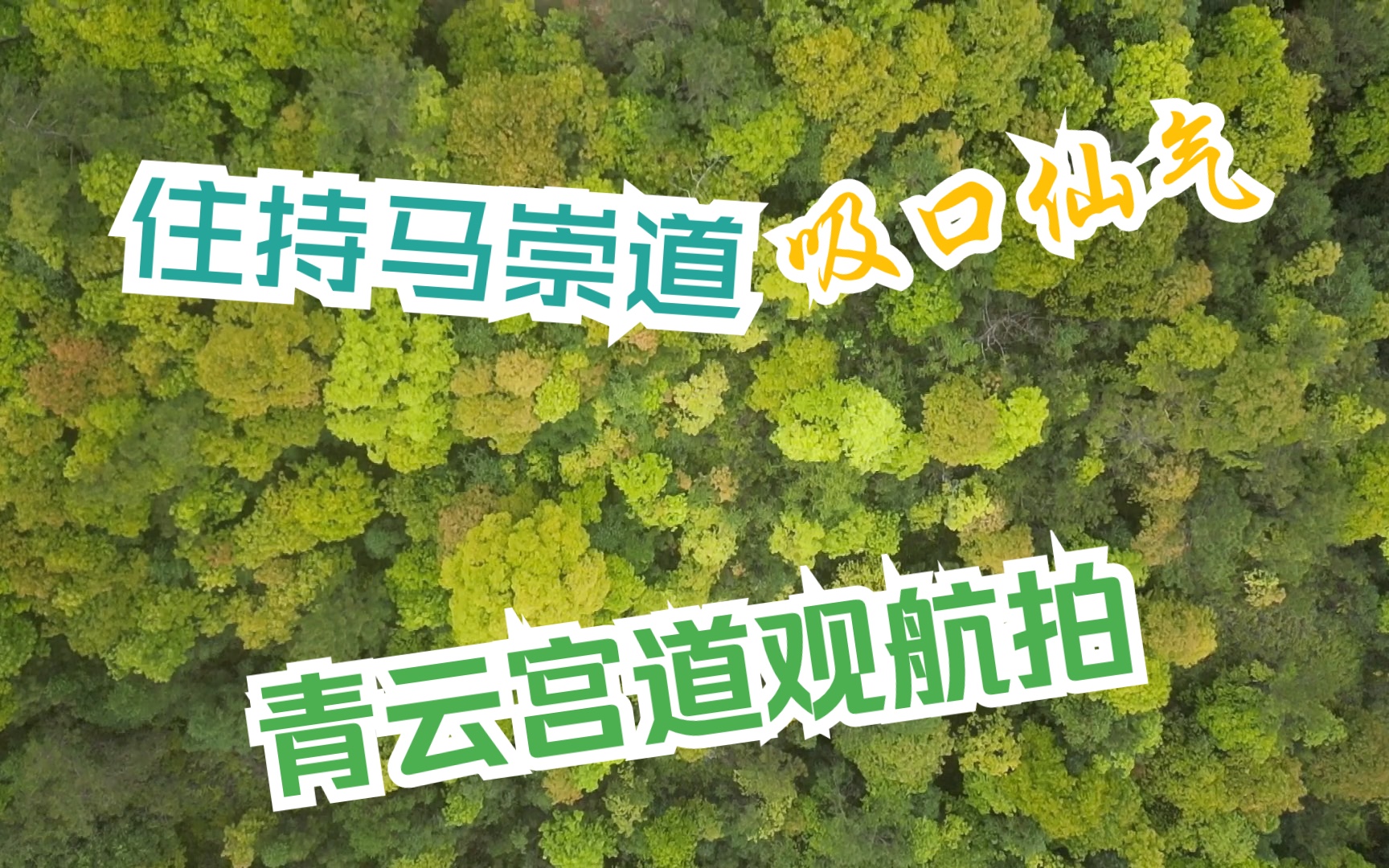 《拜访最帅道士马崇道住持的青云宫道观,向往闲云野鹤、云游四海的逍遥式生活》浪潮映像哔哩哔哩bilibili