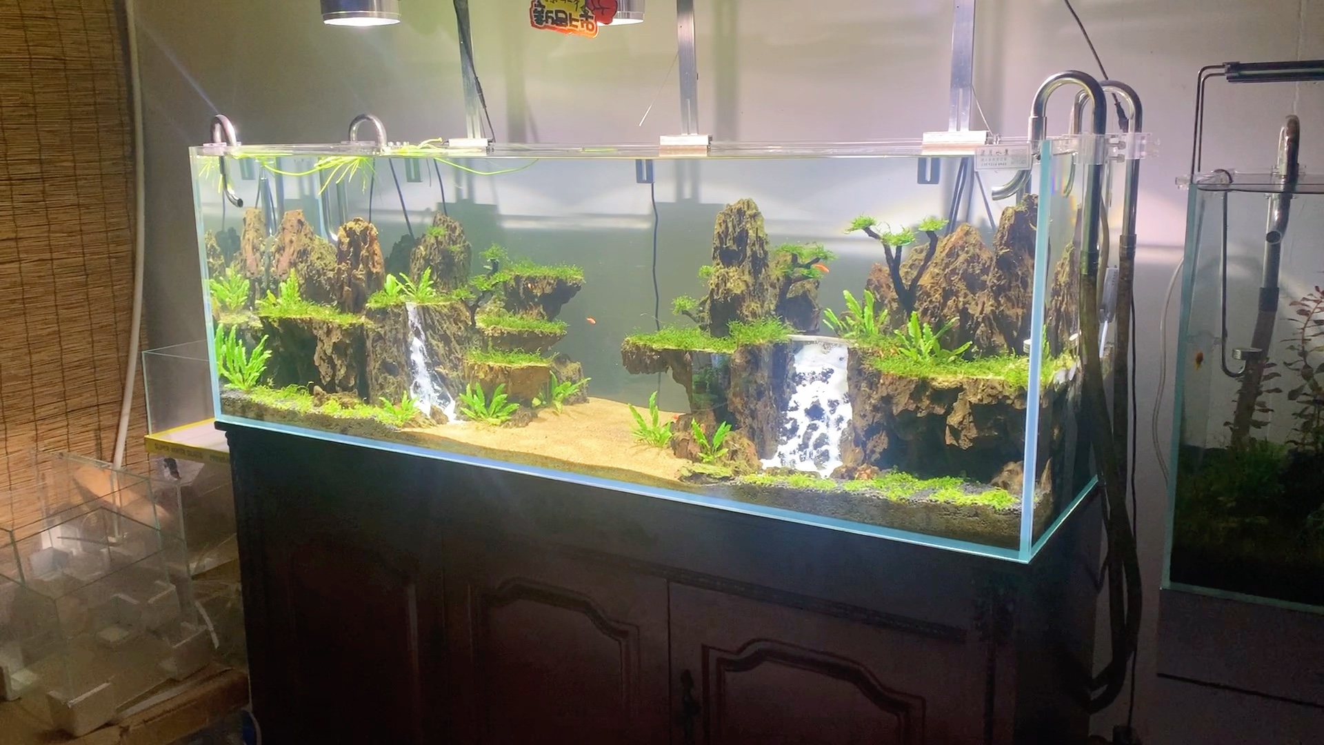 1.5米流沙瀑布水草缸,两年了,状态依旧.